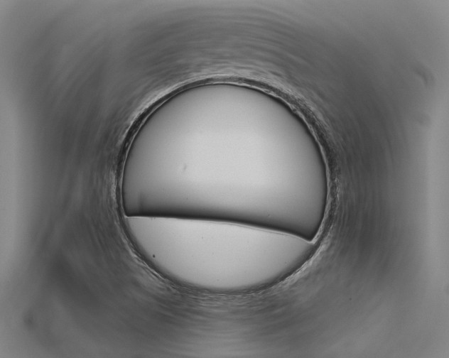 X0000115831505200911131116