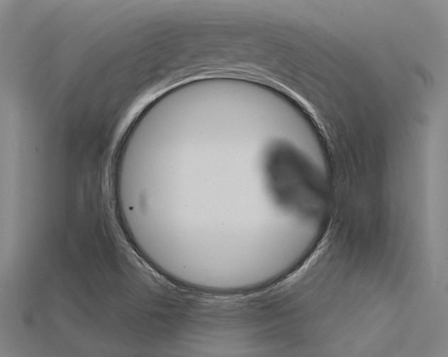 X0000115831506200911131116