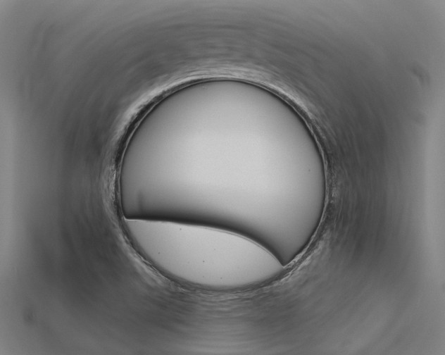 X0000115831507200911131116