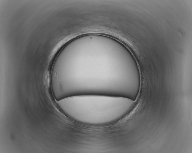 X0000115831509200911131116