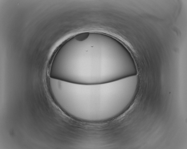 X0000115831510200911131116