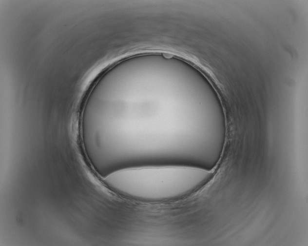 X0000115831511200911131117
