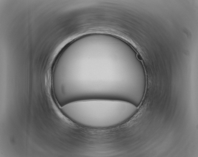 X0000115831515200911131117