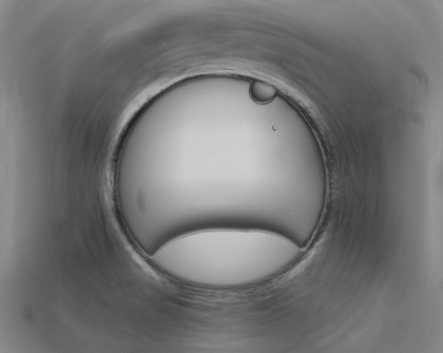X0000115831517200911131117