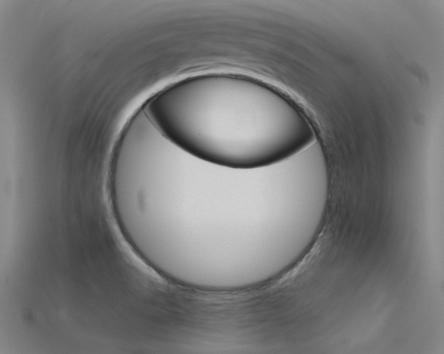 X0000115831518200911131117