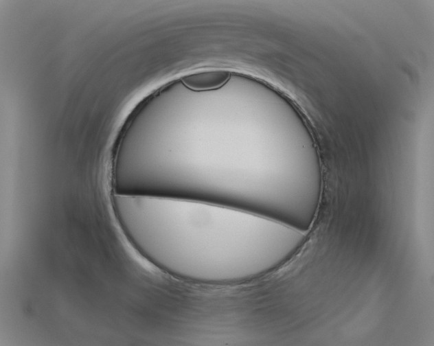 X0000115831519200911131117