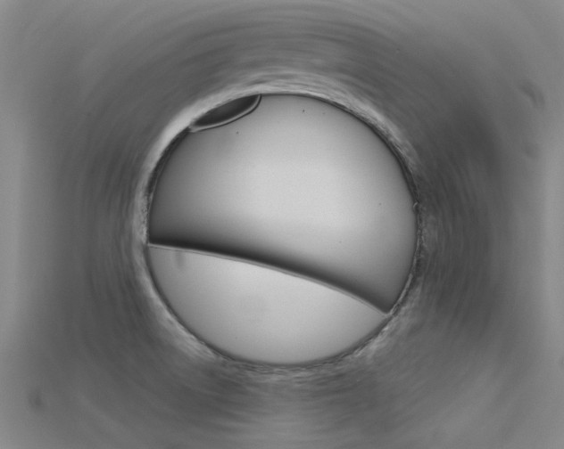 X0000115831522200911131117