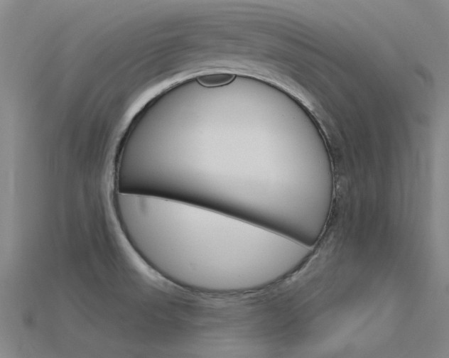 X0000115831523200911131117