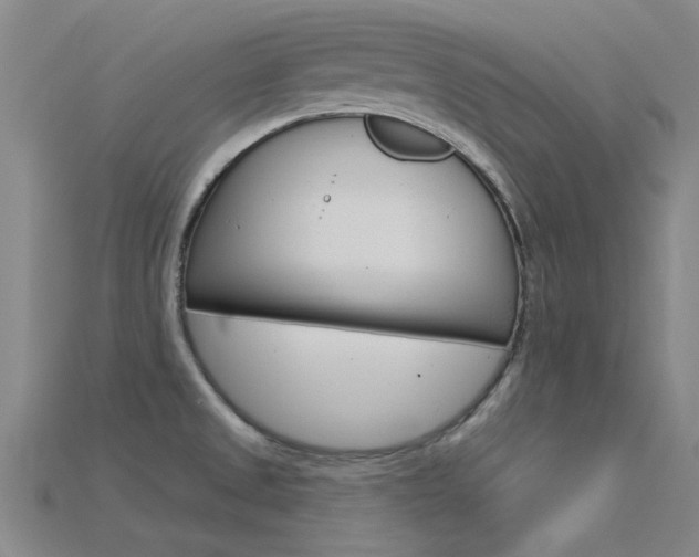 X0000115831525200911131117