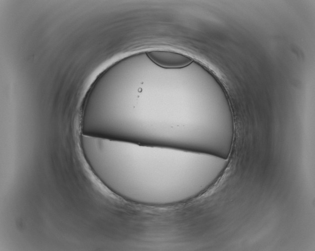 X0000115831526200911131117