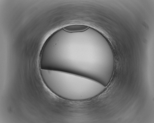 X0000115831527200911131117