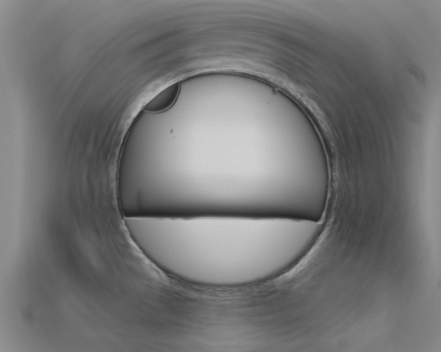 X0000115831529200911131117