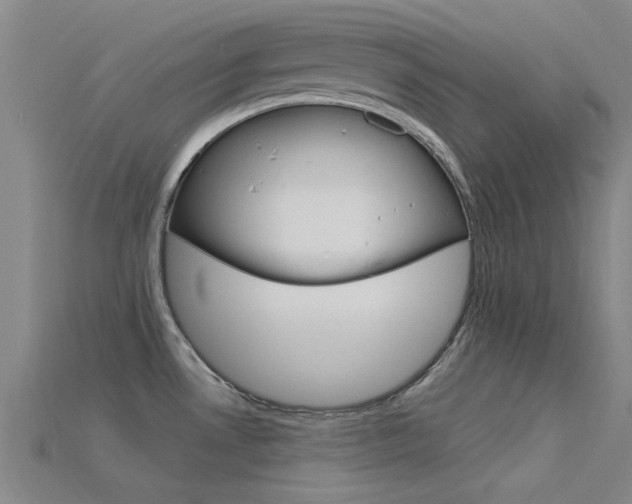 X0000115831530200911131117