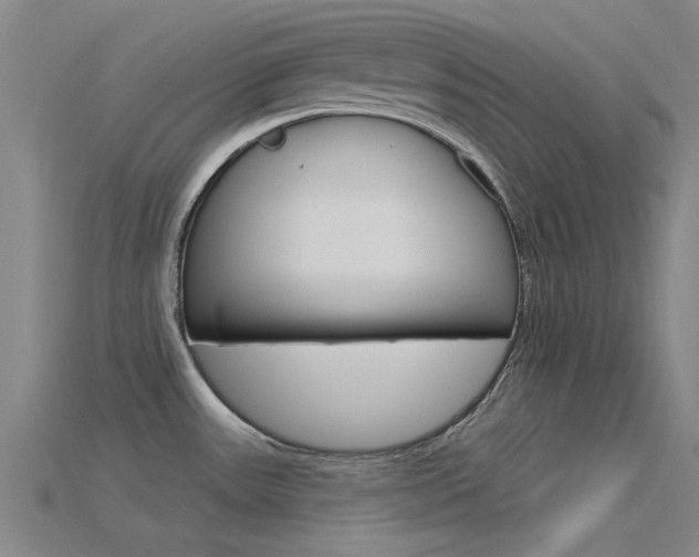 X0000115831531200911131117