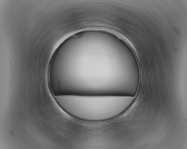 X0000115831533200911131117