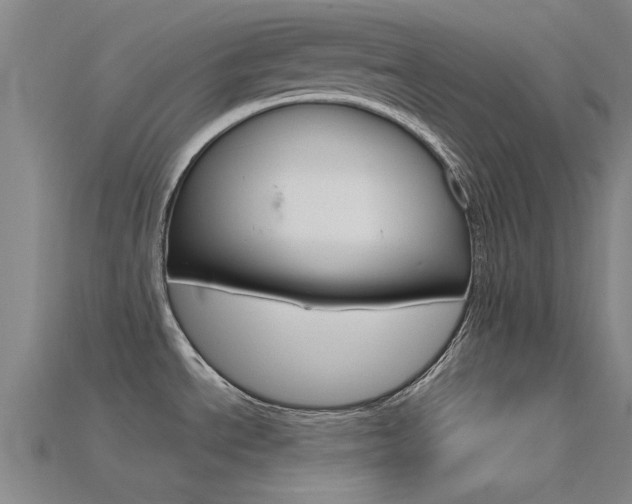 X0000115831534200911131117
