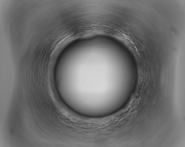 X0000115830001200911131515