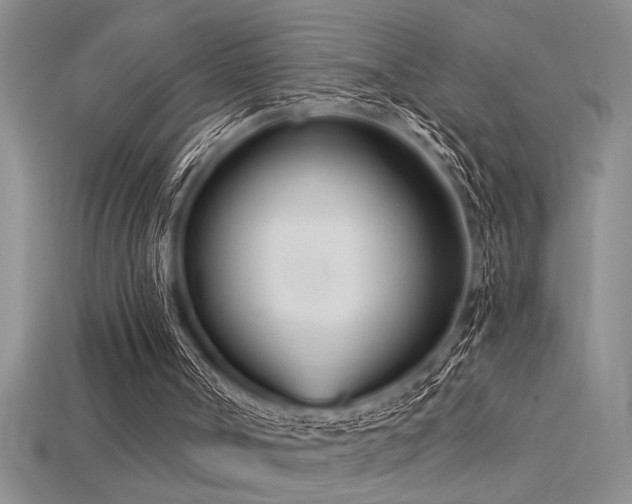 X0000115830002200911131515