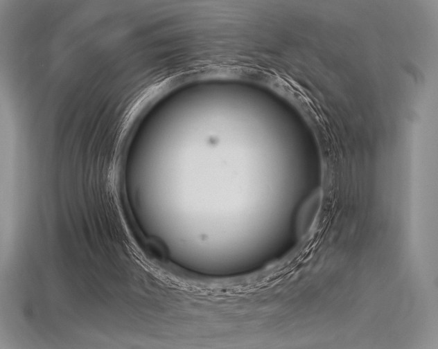 X0000115830003200911131515