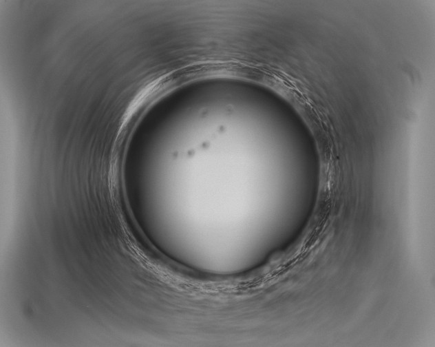 X0000115830004200911131515