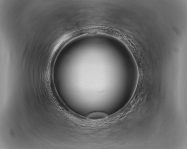 X0000115830006200911131515