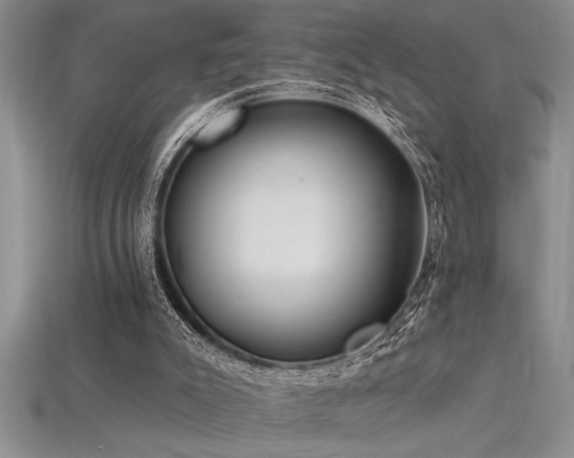 X0000115830007200911131515