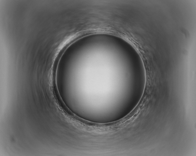 X0000115830008200911131515