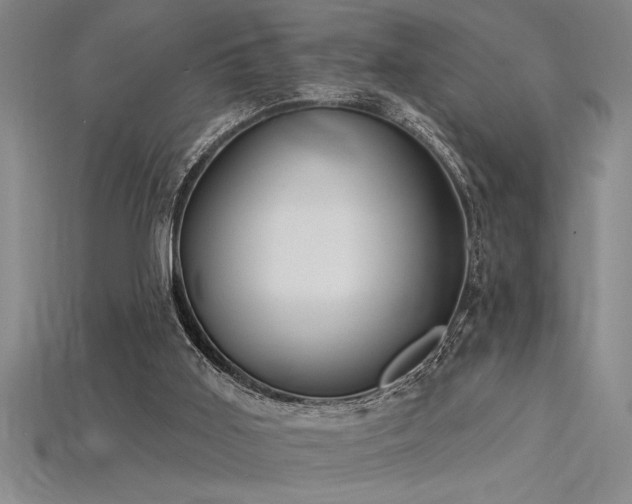 X0000115830011200911131515