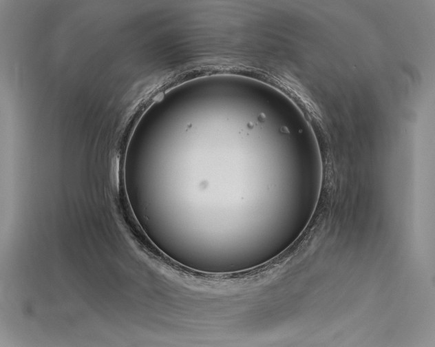 X0000115830014200911131515