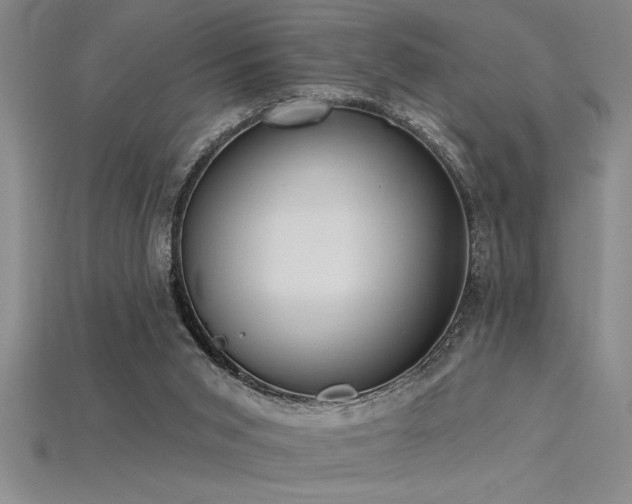 X0000115830015200911131515