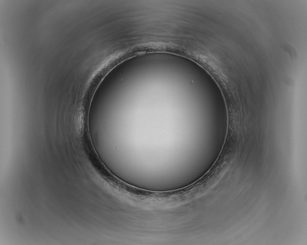 X0000115830016200911131515