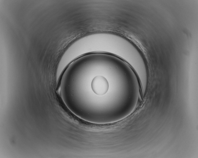 X0000115830017200911131515