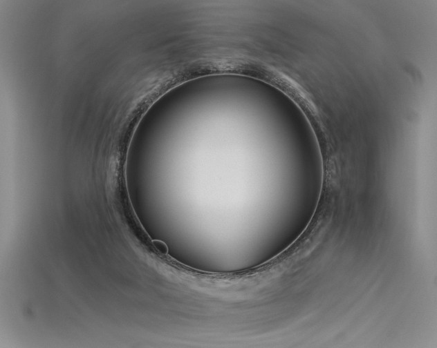 X0000115830018200911131515