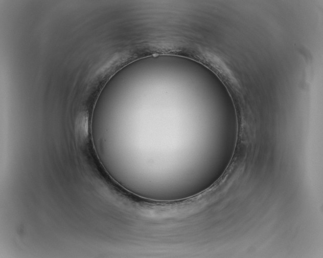 X0000115830021200911131515