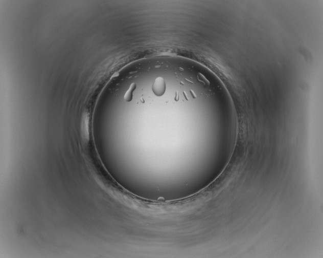 X0000115830022200911131515