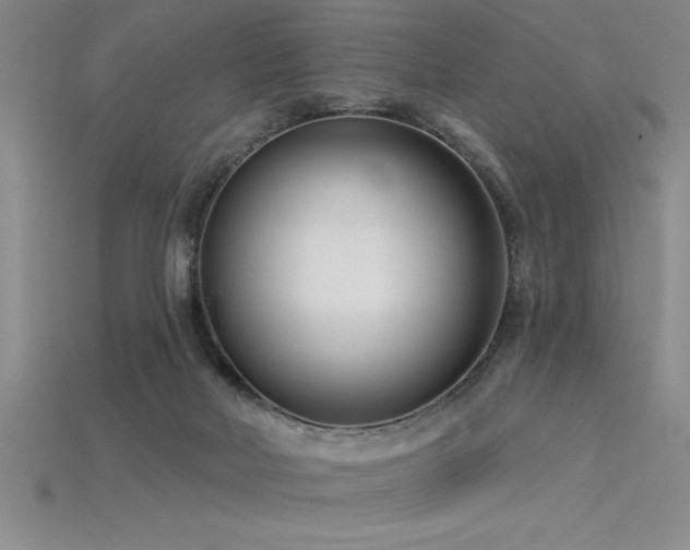 X0000115830026200911131515