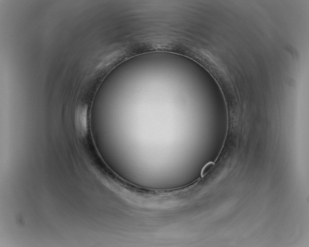 X0000115830028200911131515