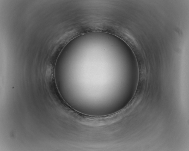 X0000115830029200911131515