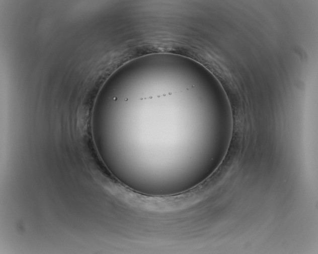 X0000115830030200911131515