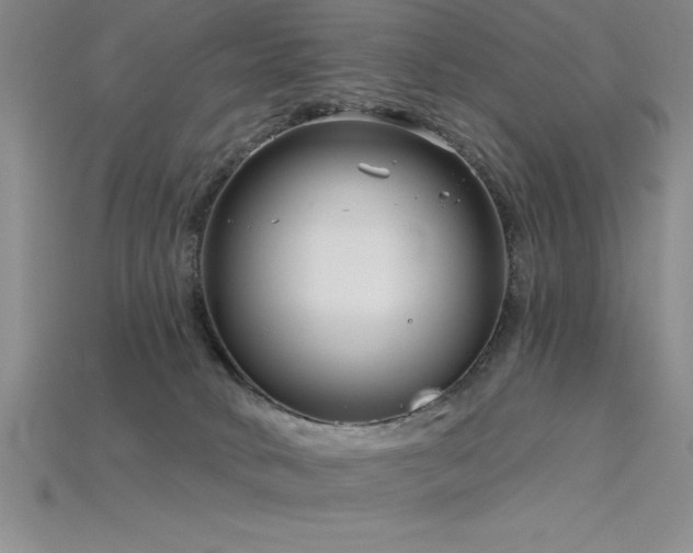 X0000115830034200911131515