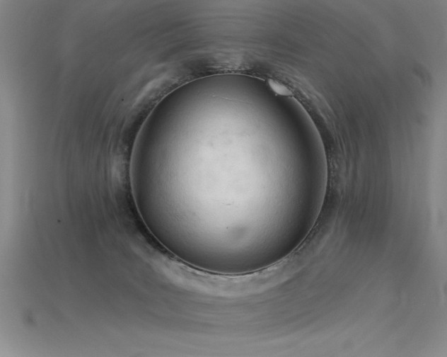 X0000115830035200911131515