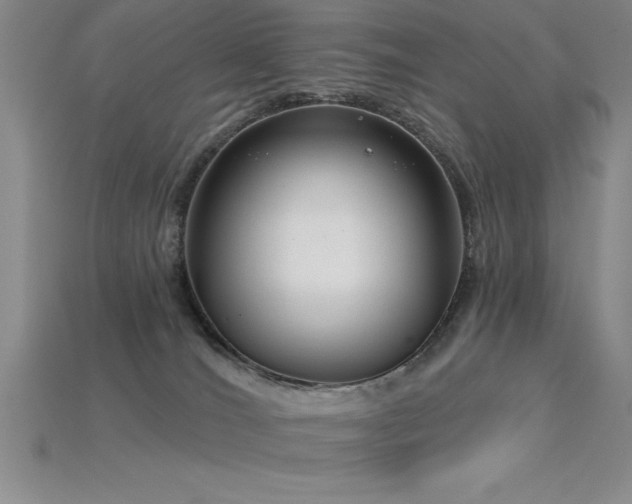 X0000115830036200911131515