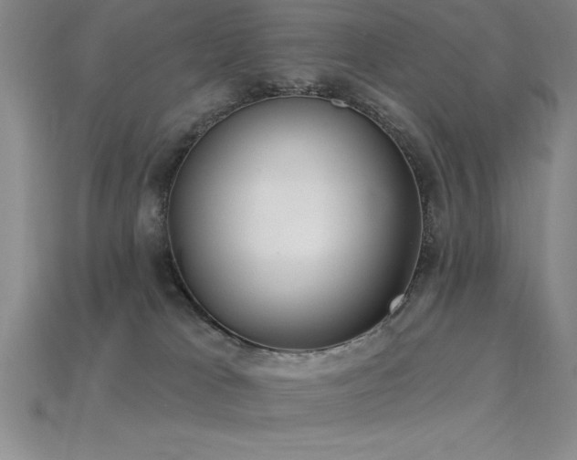 X0000115830037200911131515