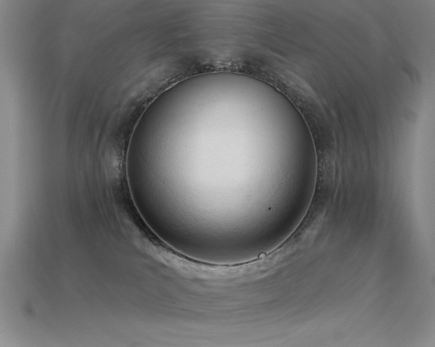 X0000115830039200911131515