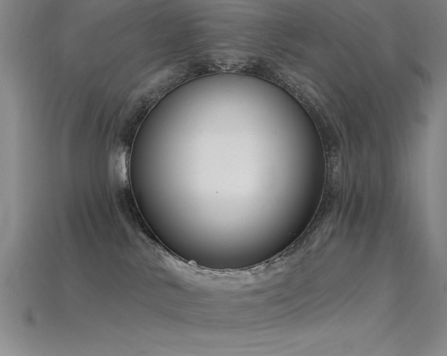 X0000115830042200911131515