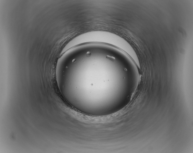 X0000115830043200911131515