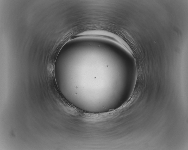 X0000115830045200911131515