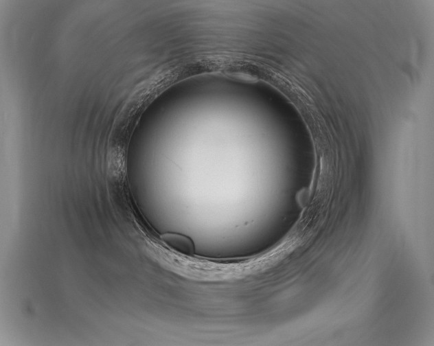 X0000115830048200911131515