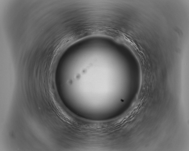 X0000115830049200911131514