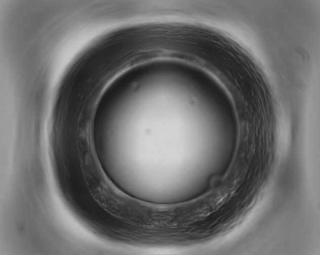 X0000115830050200911131514